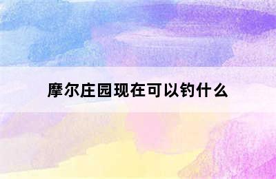 摩尔庄园现在可以钓什么