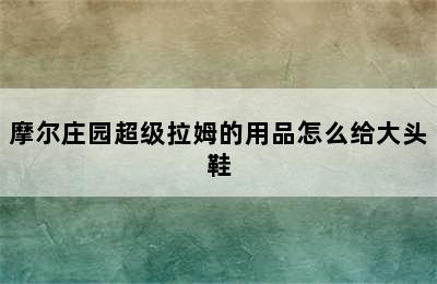 摩尔庄园超级拉姆的用品怎么给大头鞋