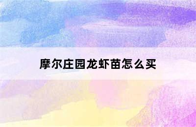 摩尔庄园龙虾苗怎么买