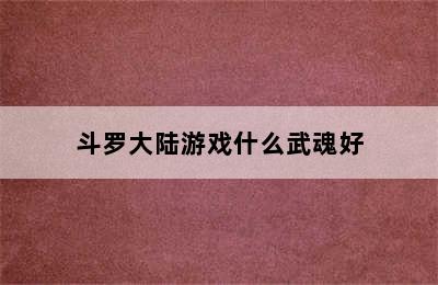 斗罗大陆游戏什么武魂好