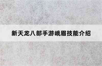 新天龙八部手游峨眉技能介绍