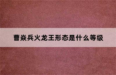 曹焱兵火龙王形态是什么等级