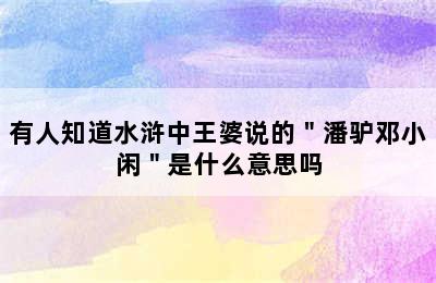 有人知道水浒中王婆说的＂潘驴邓小闲＂是什么意思吗