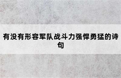 有没有形容军队战斗力强悍勇猛的诗句