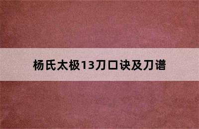 杨氏太极13刀口诀及刀谱