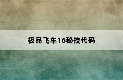 极品飞车16秘技代码