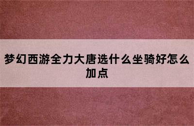 梦幻西游全力大唐选什么坐骑好怎么加点