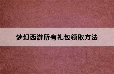 梦幻西游所有礼包领取方法