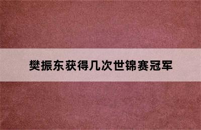 樊振东获得几次世锦赛冠军