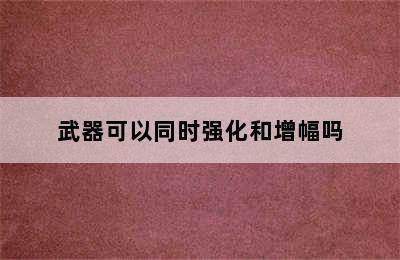 武器可以同时强化和增幅吗