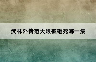 武林外传范大娘被砸死哪一集