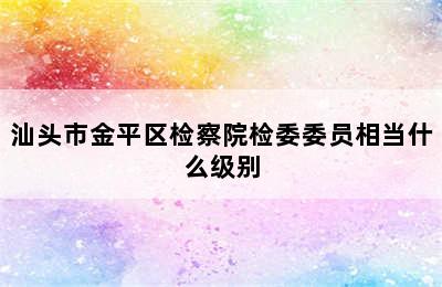 汕头市金平区检察院检委委员相当什么级别