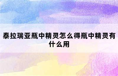 泰拉瑞亚瓶中精灵怎么得瓶中精灵有什么用