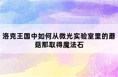 洛克王国中如何从微光实验室里的蘑菇那取得魔法石