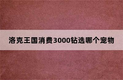 洛克王国消费3000钻选哪个宠物