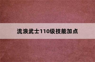 流浪武士110级技能加点