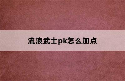 流浪武士pk怎么加点