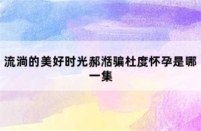 流淌的美好时光郝湉骗杜度怀孕是哪一集