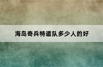 海岛奇兵特遣队多少人的好