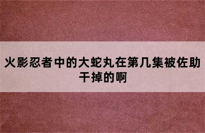 火影忍者中的大蛇丸在第几集被佐助干掉的啊