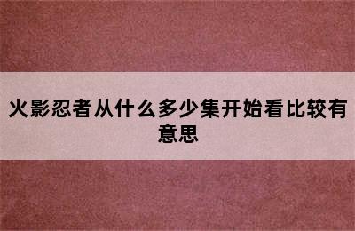 火影忍者从什么多少集开始看比较有意思