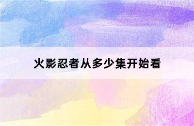 火影忍者从多少集开始看