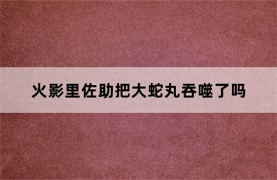 火影里佐助把大蛇丸吞噬了吗