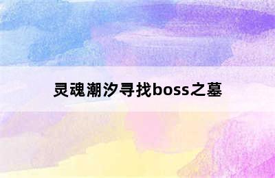 灵魂潮汐寻找boss之墓