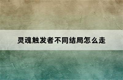 灵魂触发者不同结局怎么走