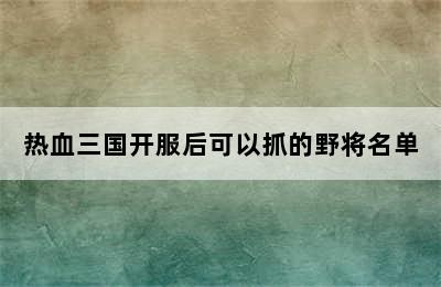 热血三国开服后可以抓的野将名单