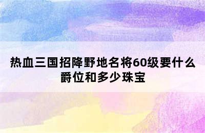 热血三国招降野地名将60级要什么爵位和多少珠宝