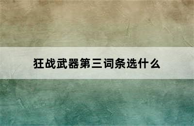 狂战武器第三词条选什么