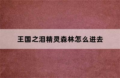 王国之泪精灵森林怎么进去