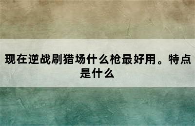 现在逆战刷猎场什么枪最好用。特点是什么