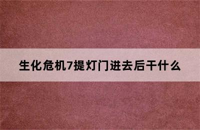 生化危机7提灯门进去后干什么