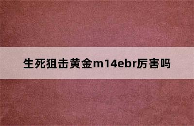 生死狙击黄金m14ebr厉害吗