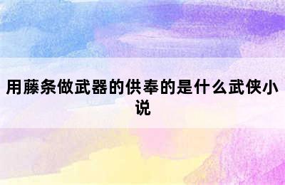 用藤条做武器的供奉的是什么武侠小说