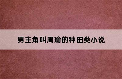 男主角叫周瑜的种田类小说