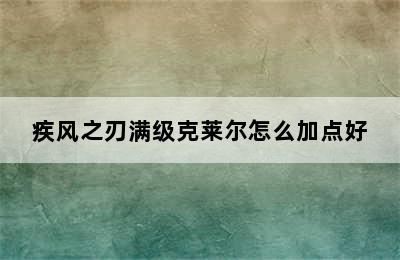 疾风之刃满级克莱尔怎么加点好