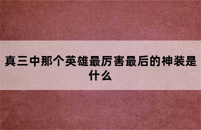 真三中那个英雄最厉害最后的神装是什么