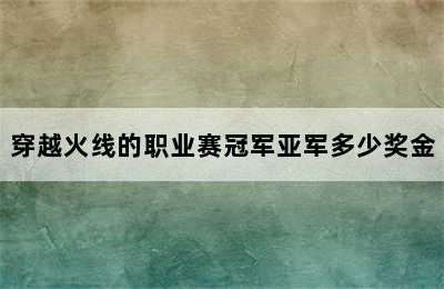 穿越火线的职业赛冠军亚军多少奖金