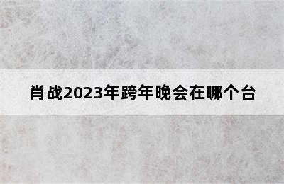 肖战2023年跨年晚会在哪个台