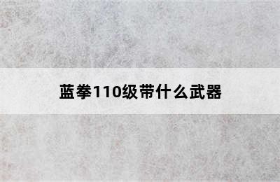 蓝拳110级带什么武器