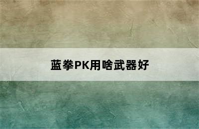 蓝拳PK用啥武器好