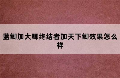 蓝鲫加大鲫终结者加天下鲫效果怎么样