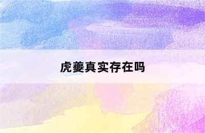 虎夔真实存在吗