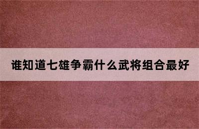 谁知道七雄争霸什么武将组合最好