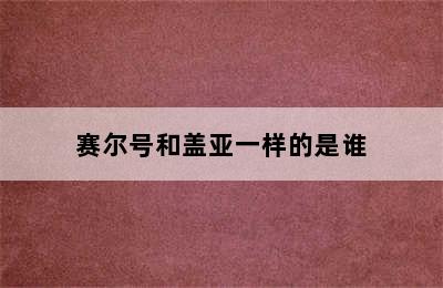 赛尔号和盖亚一样的是谁