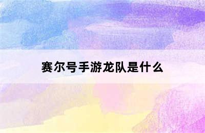 赛尔号手游龙队是什么