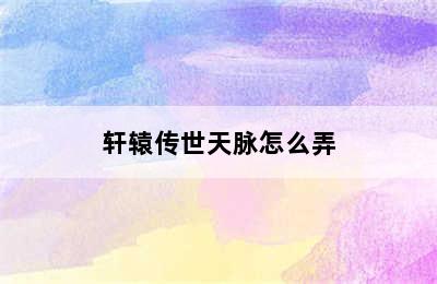 轩辕传世天脉怎么弄